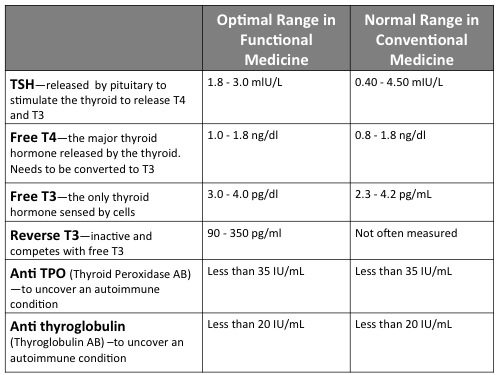 Thyroid labs functional medicine ranges