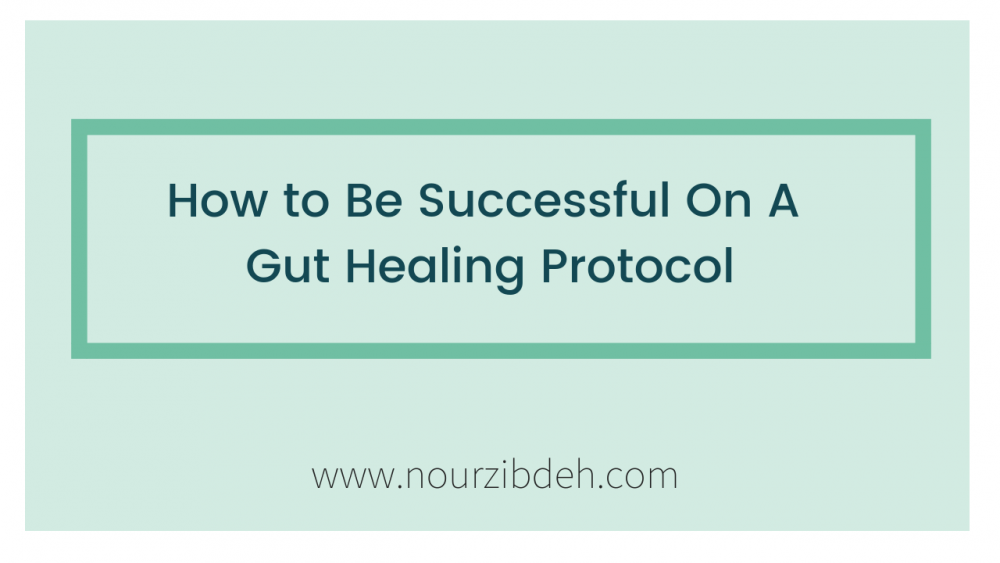 gut healing protocol
