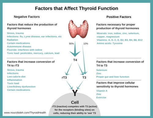 healthy thyroid_Thyroid diet