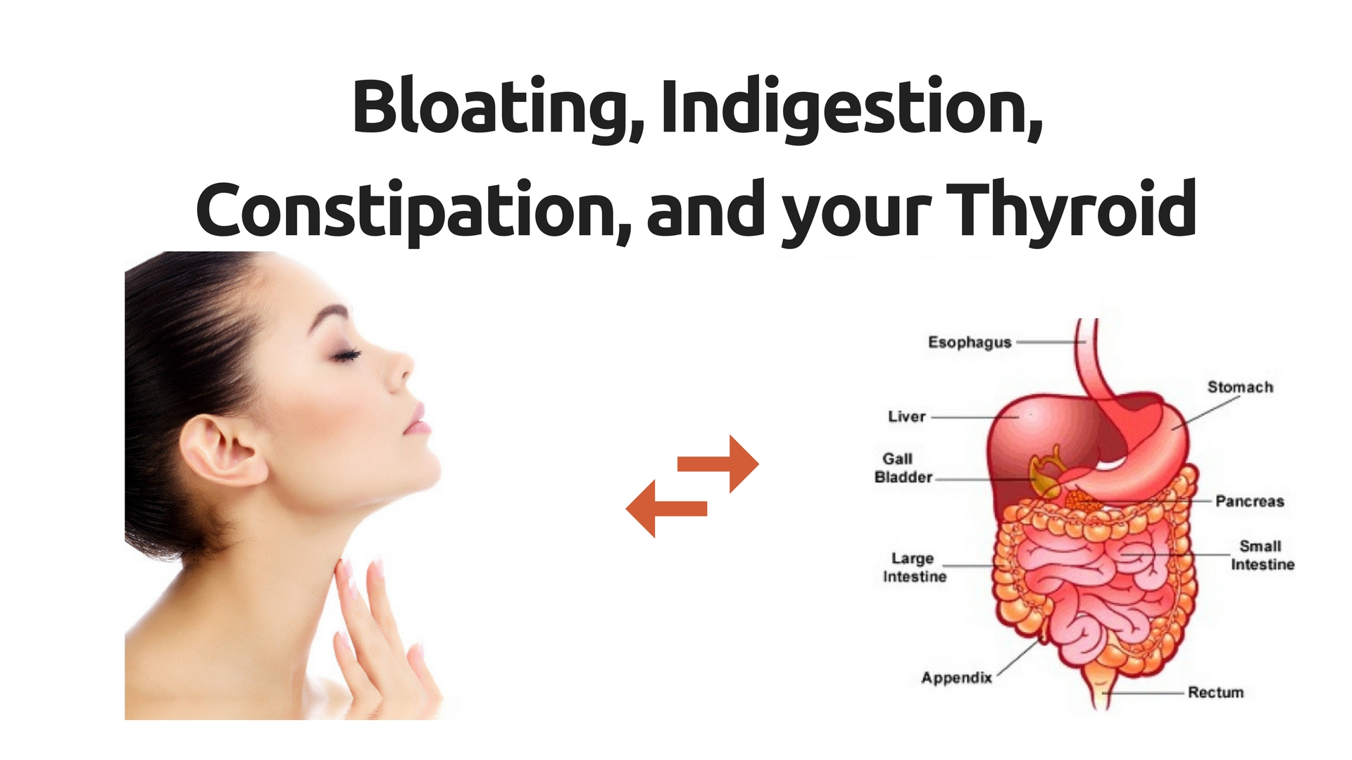 Bloating Indigestion Constipation And Thyroid