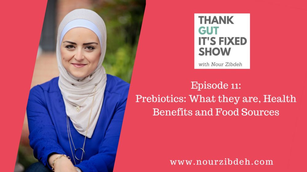 prebiotic foods, prebiotics foods, prebiotic definition, prebiotic vs. probiotic