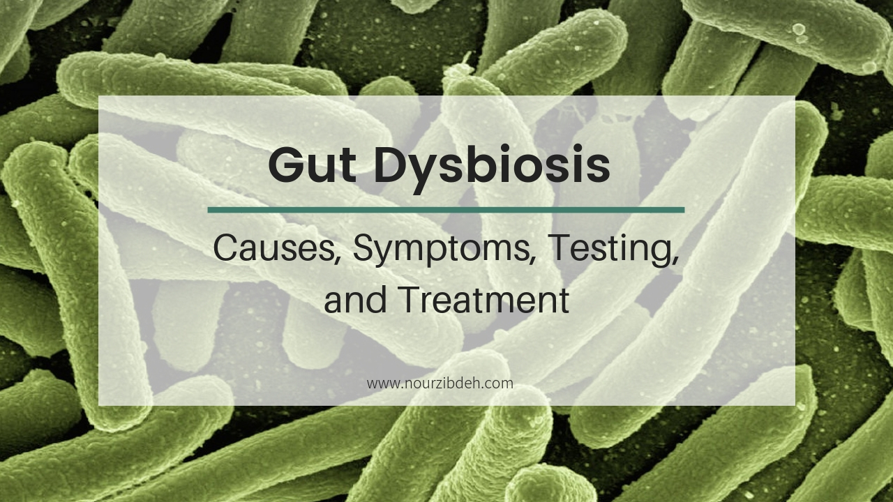 Dysbiosis means