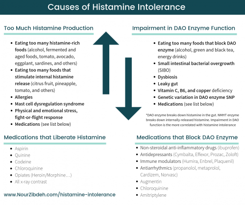 histamine intolerance causes gut