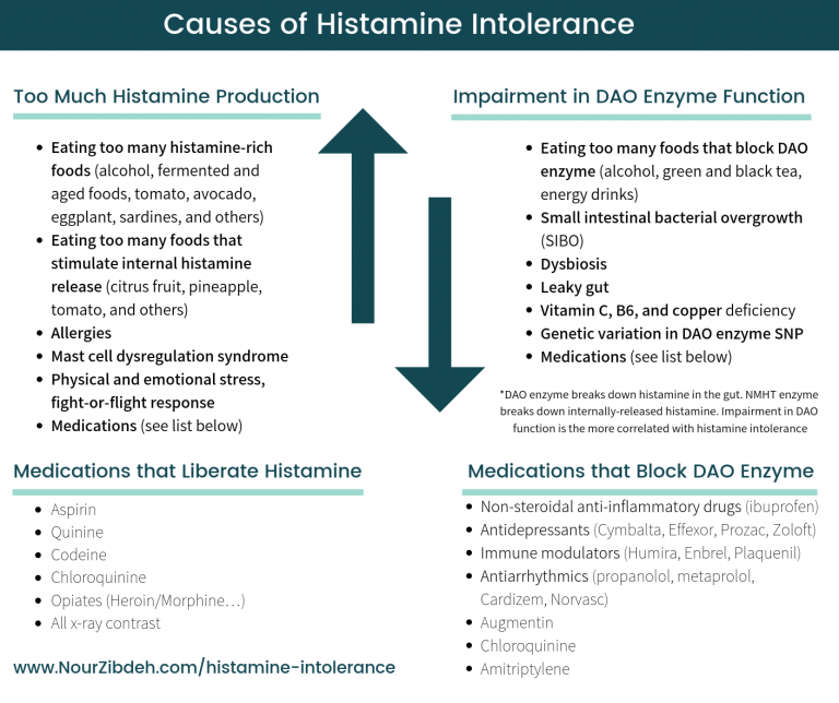 causes of histamine intolerance final - Nour Zibdeh