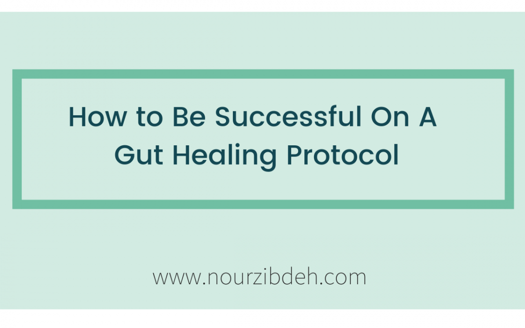 How to Truly Succeed On a Gut Healing Protocol