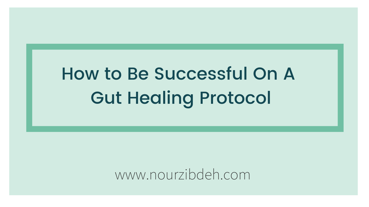 gut healing protocol