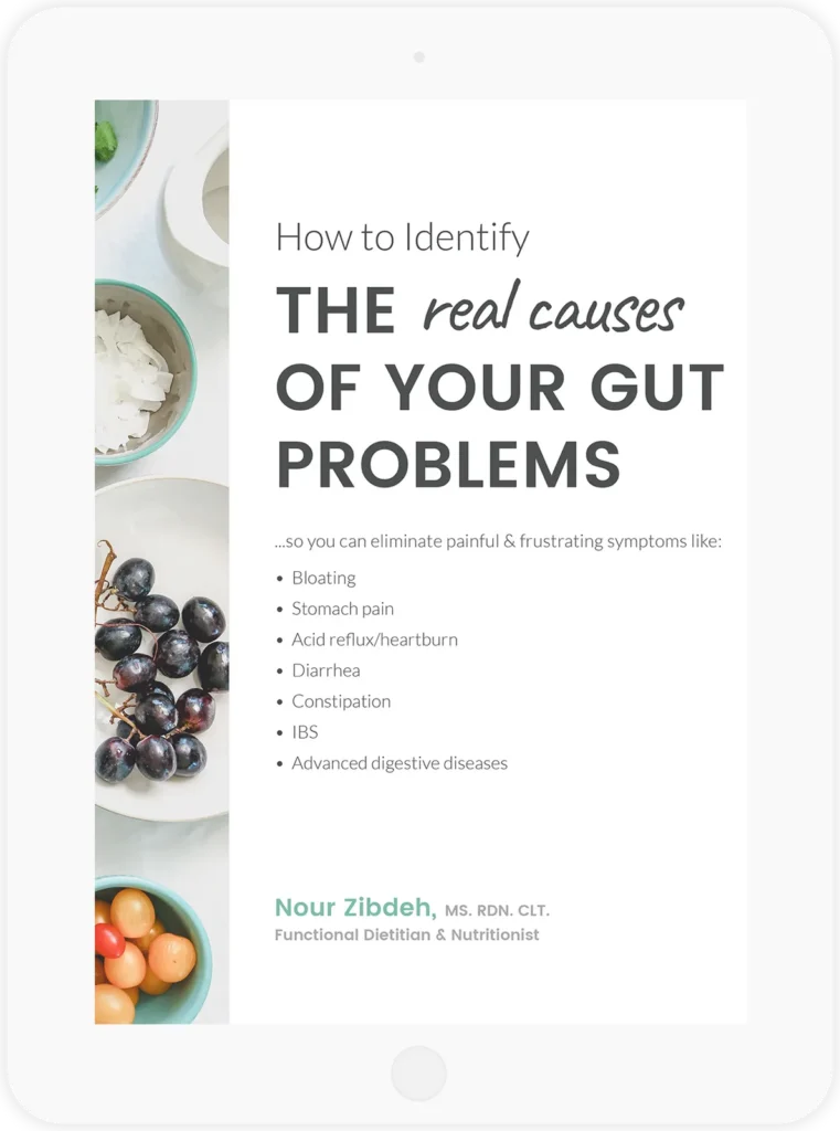 How to Identify the REAL causes behind your gut problems - Nour Zibdeh