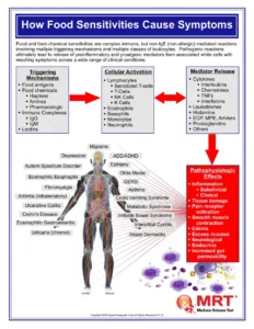 Chart showing how food sensitivities trigger immune cells to release mediators, linked to symptoms like migraine, IBS, GERD, fibromyalgia and eczema